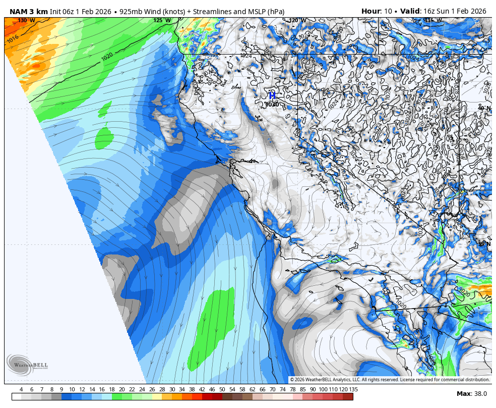 Weather map showing wind speed, streamlines, and mean sea level pressure over the western United States and eastern Pacific Ocean, valid at 10:00 UTC on February 1, 2026, with areas of rain and storm activity depicted in blue and green.