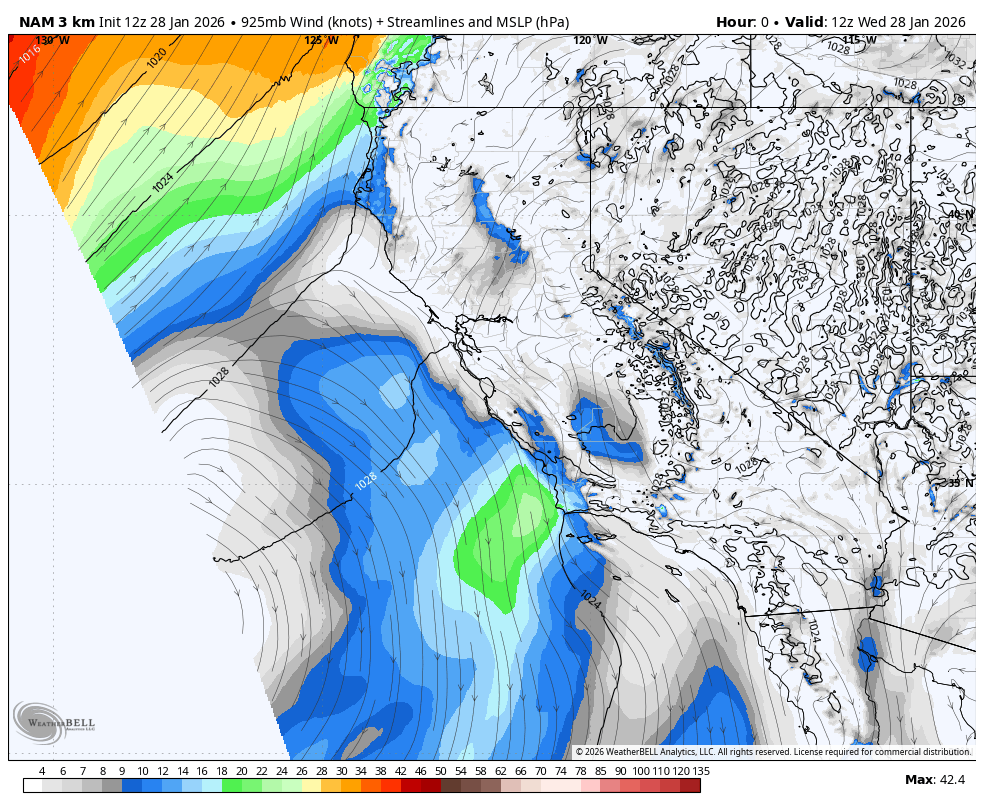 A weather map showing wind speeds and streamlines over parts of California, Nevada, and surrounding areas at 925mb pressure level, valid for 12z on January 28, 2026. Areas of precipitation indicated in blue and green, with contour lines representing mean sea level pressure.