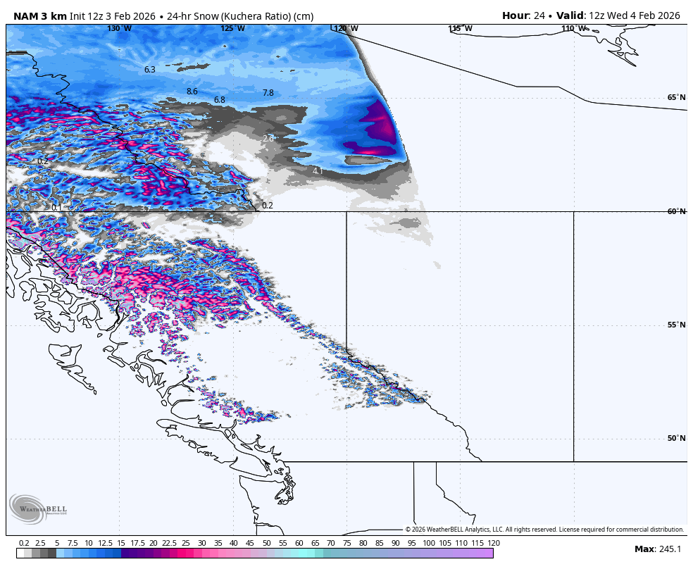 Map showing snowfall accumulation over Alaska and parts of Canada, with color coding indicating snow depth in centimeters. Blue shades represent lower snow depths, while pink and purple shades indicate higher levels, reaching up to 245.1 cm.