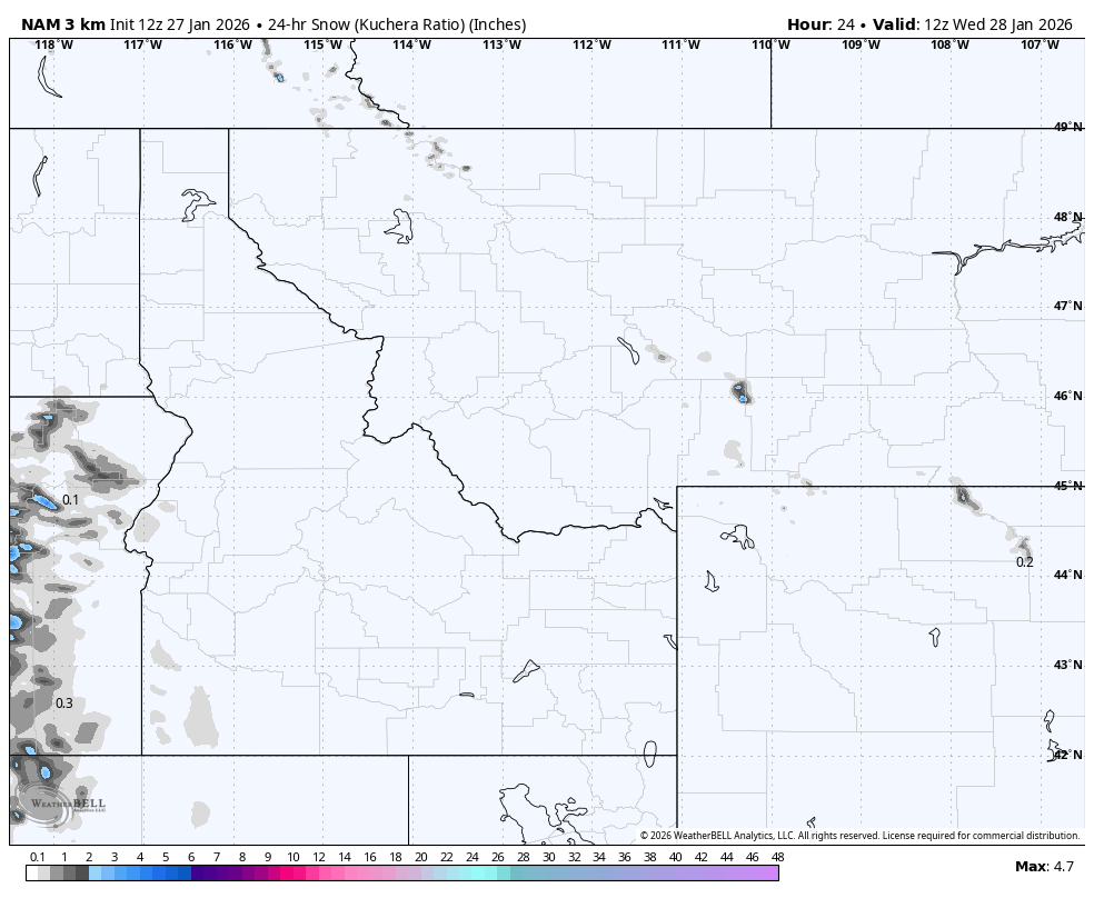Weather map showing snowfall in inches over parts of Washington, Idaho, and Montana, with lighter shades indicating less snow and darker shades indicating more snow, valid at 12:00 UTC on January 28, 2026.