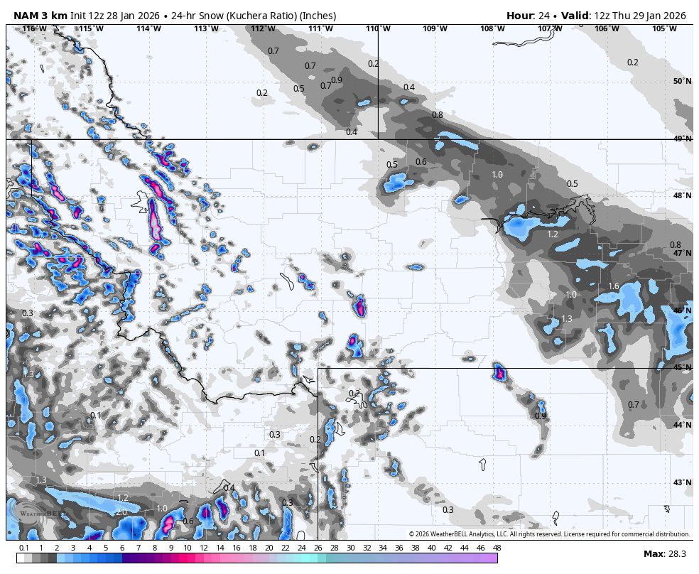 Map showing 24-hour snowfall in inches across northern California, Nevada, and parts of Oregon and Idaho on January 29, 2026, with snow accumulation levels represented by varying shades of gray and blue.