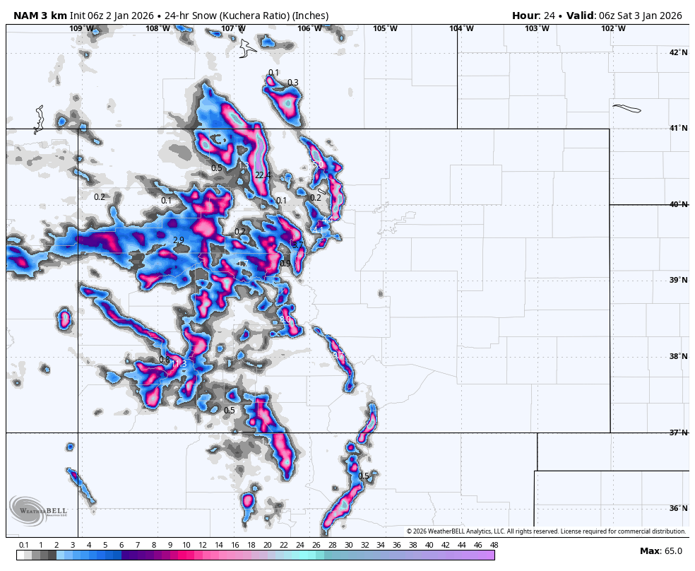 Weather radar map showing 24-hour snowfall in inches across parts of Washington, Oregon, and Idaho, with varying intensities indicated by colors from light gray to pink and purple, representing snowfall amounts from 0.1 to 65 inches.