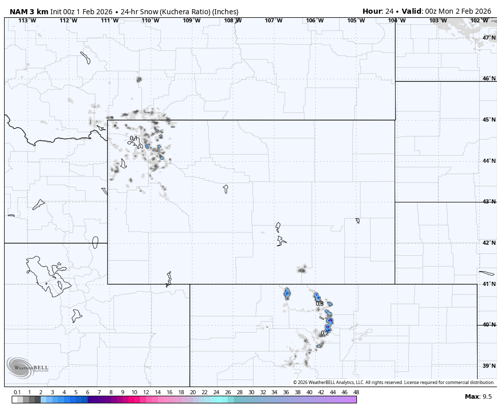 Map showing 24-hour snowfall and snow-to-liquid ratio over parts of the northern United States and southern Canada, with areas of light to moderate snow indicated in shades of gray and blue, around a 3 km grid, from February 1, 2026.