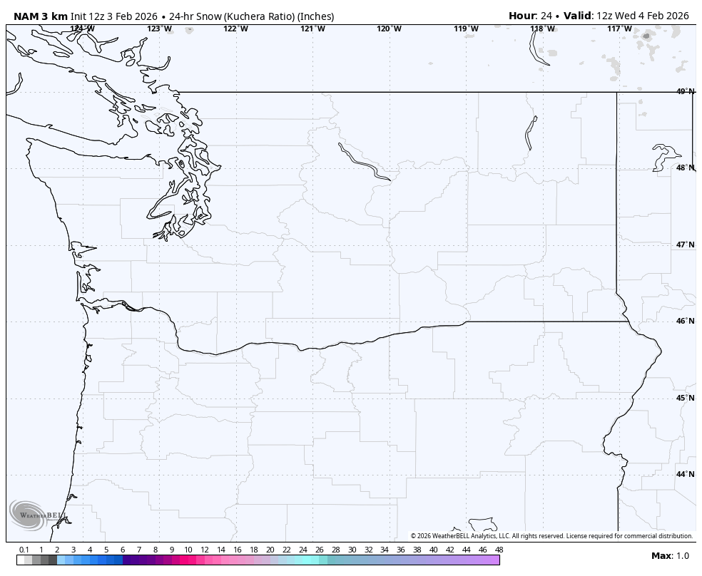 Map of the Northwestern United States with outlines of states, showing no significant precipitation or snowfall in the region as of February 4, 2026, at 12:00 UTC.