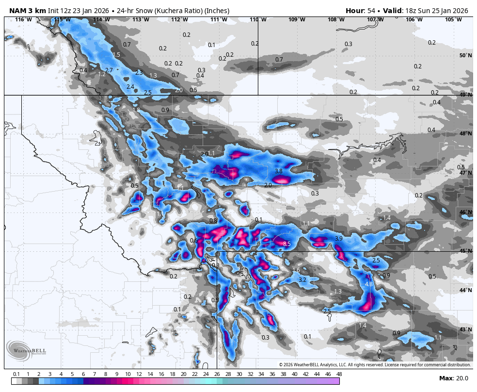 Map showing predicted 24-hour snowfall amounts across parts of the western United States, with higher accumulations in some areas, indicated by blue, pink, and purple colors, and lighter snow in gray.