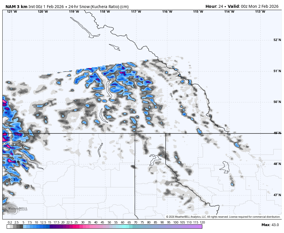 Map showing snow accumulation in centimeters over a 24-hour period across parts of the Pacific Northwest, including Washington and Oregon, on February 1, 2026.