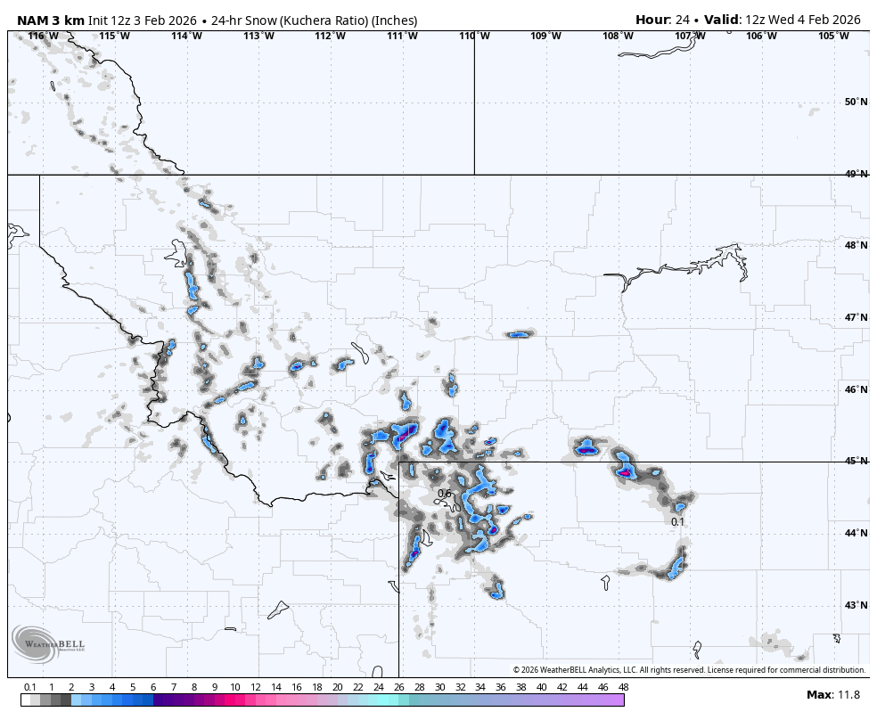 A weather map showing 24-hour snow accumulation in inches across parts of Washington, Oregon, Idaho, Montana, and surrounding states, with snow concentrations indicated by gray, blue, and purple shades, based on data from February 4, 2026.