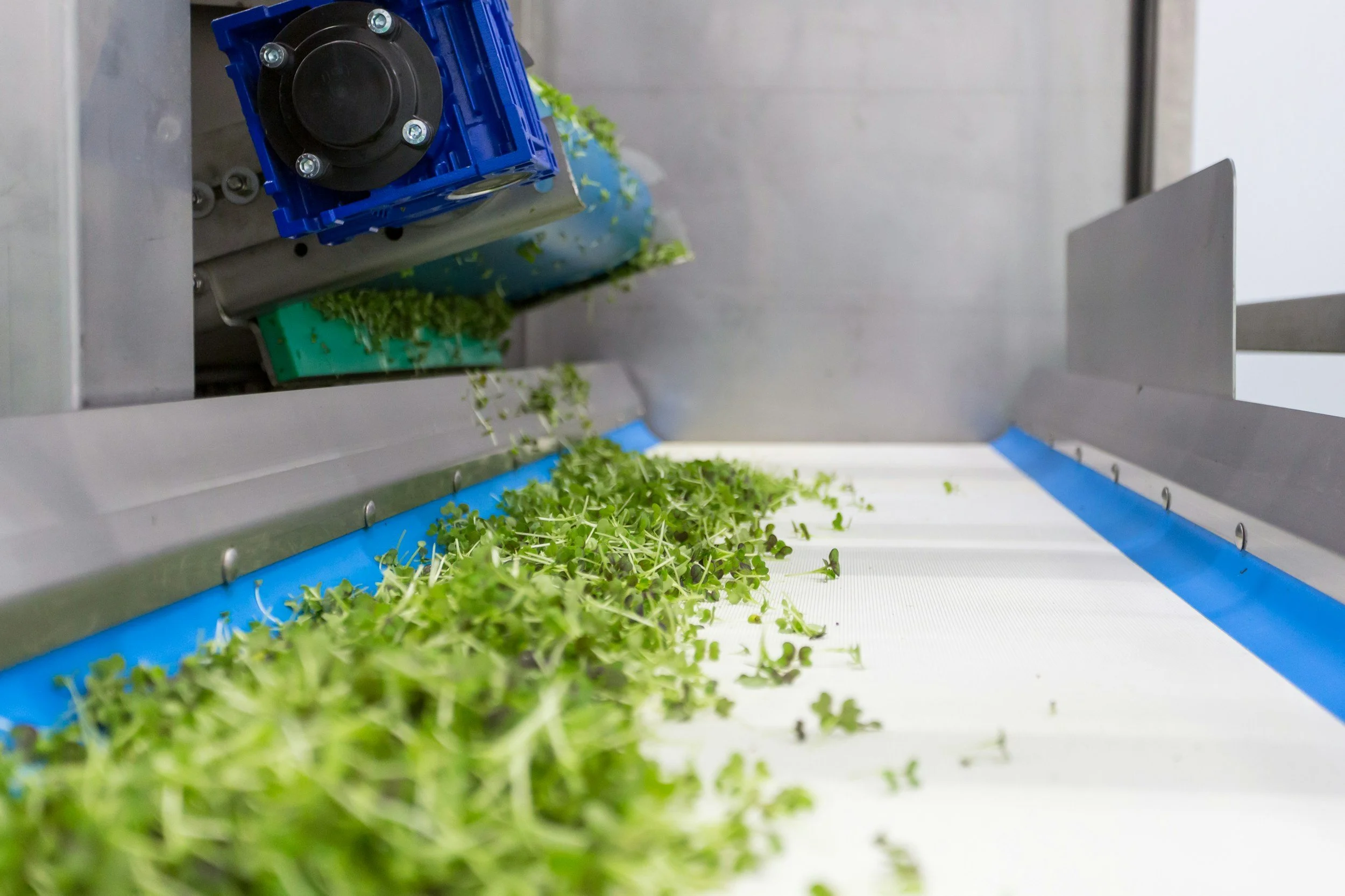 “What are ultra-processed foods?”