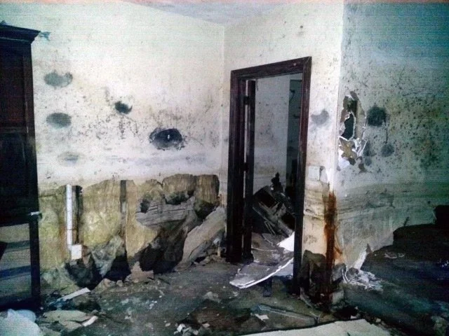 Mold Restoration After Water Damage in Neenah, WI: A Complete Guide