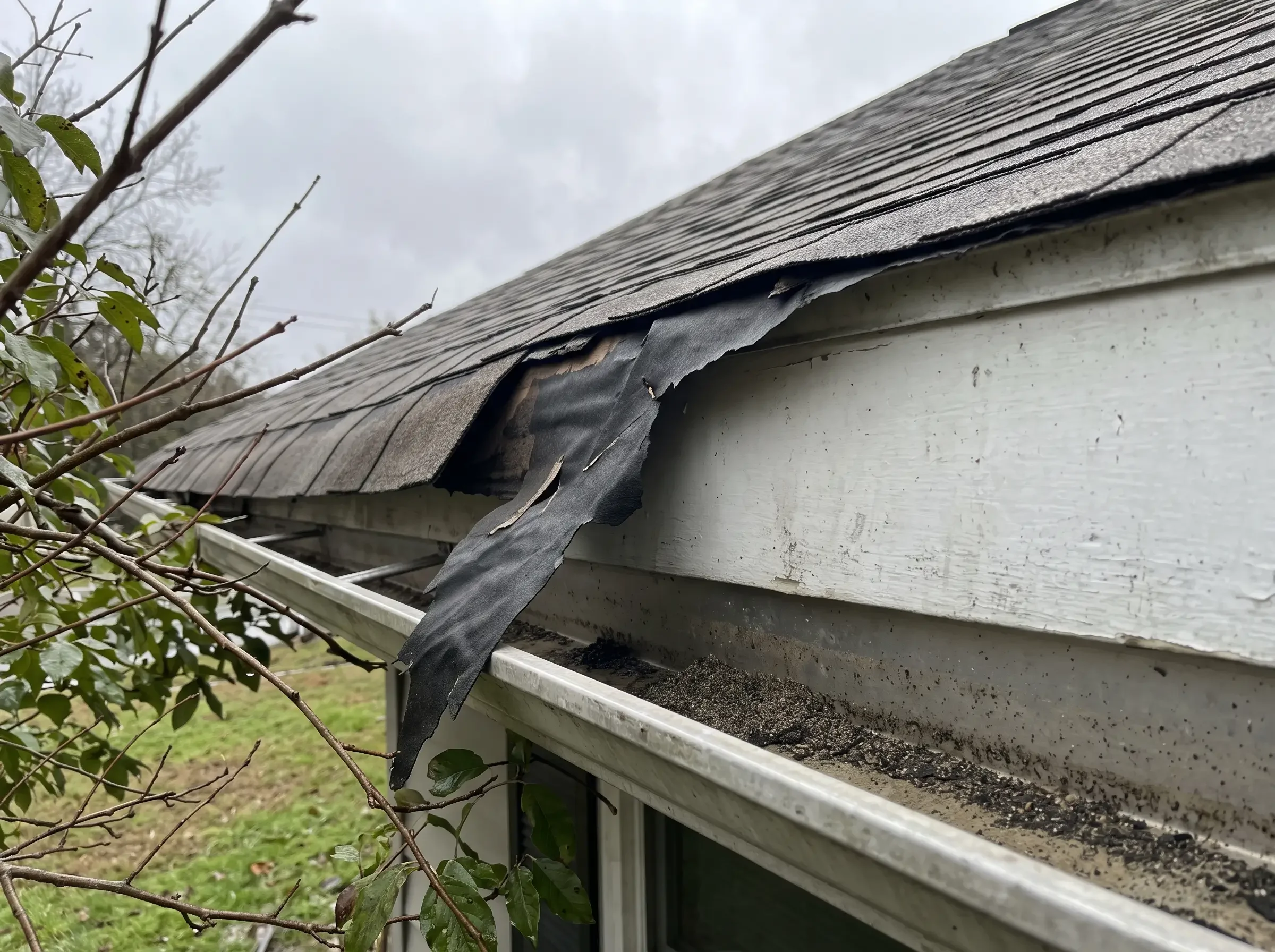 Shingles lifted off a roof edge with underlayment exposed and flapping, photographed from the ground at an angle after Hurricane Isaias.