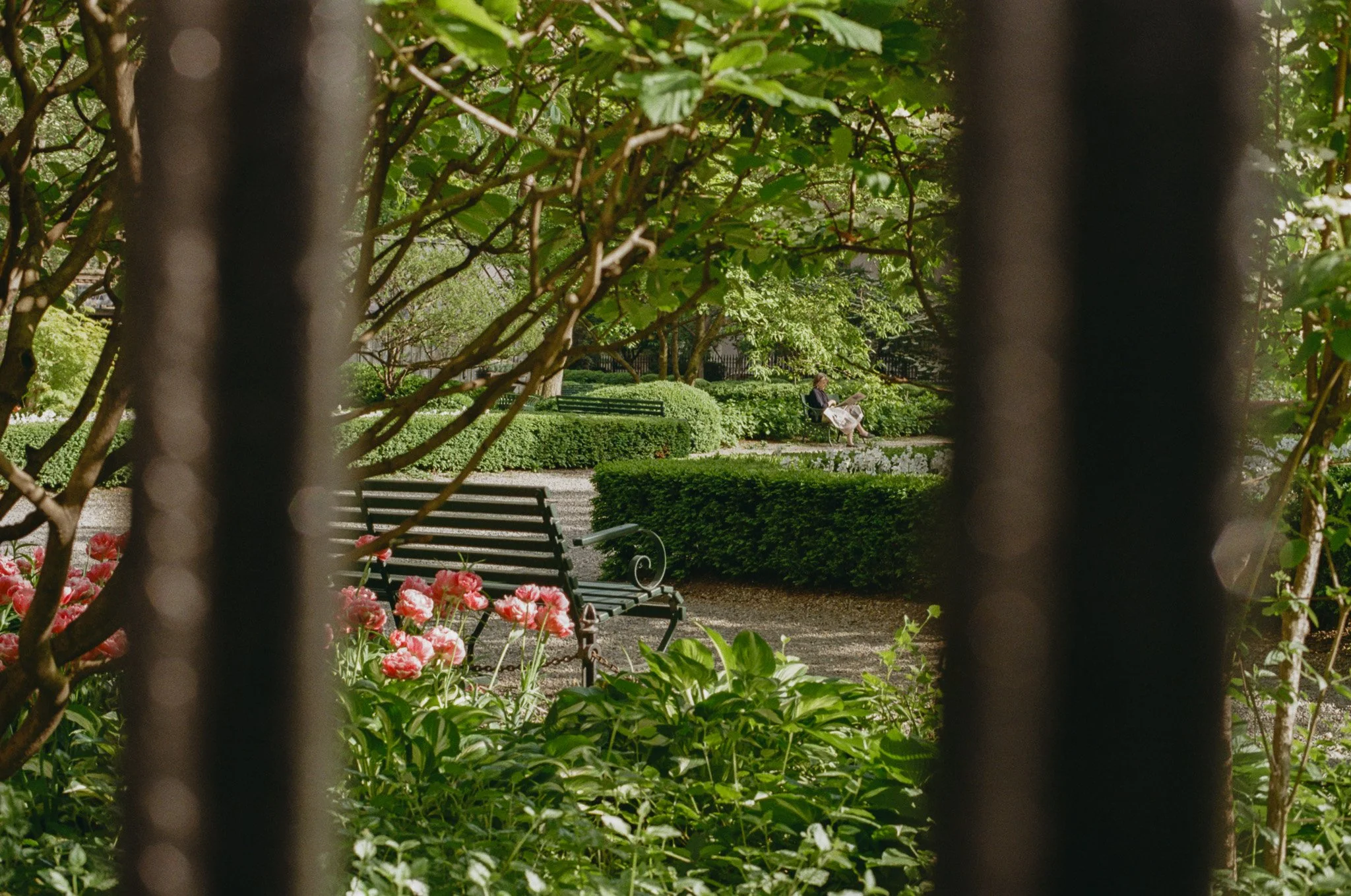 Gramercy Park Contemplation