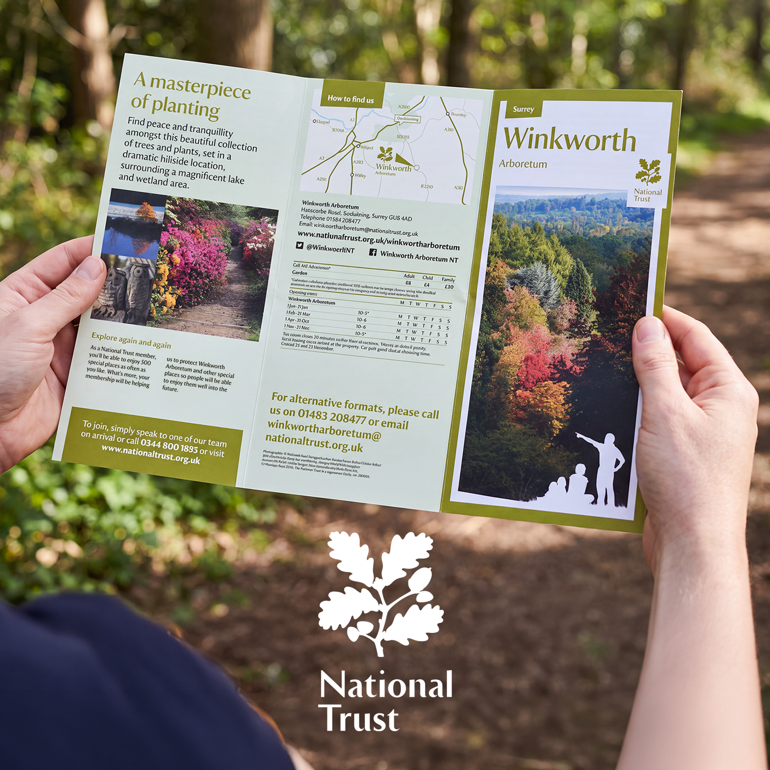 Leaflet Design | Information Graphics