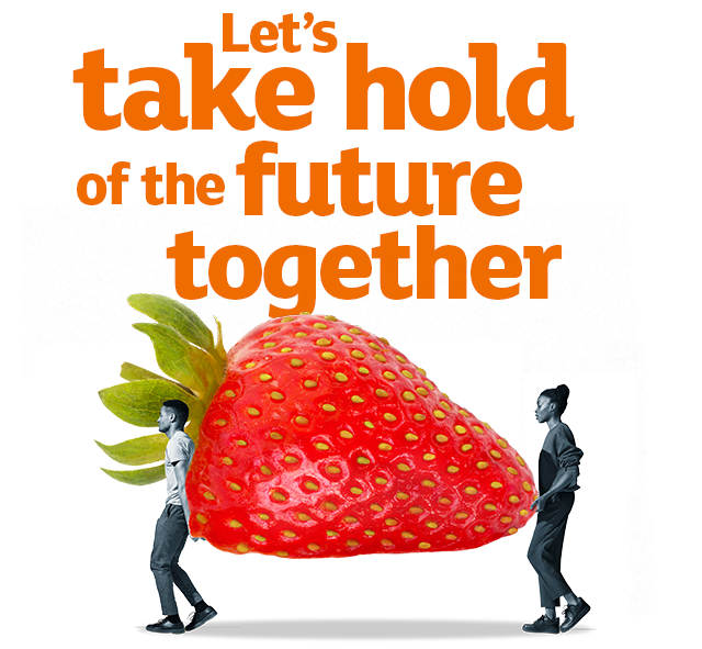 MOD-1_LETS-TAKE-HOLD_02.png