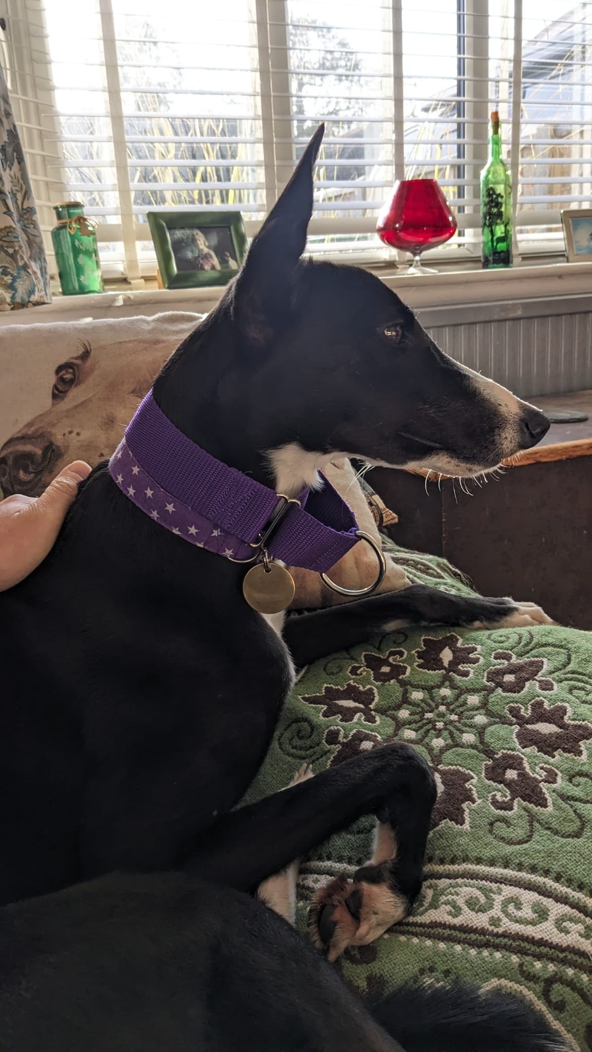 WhatsApp Image 2026-01-11 at 8.38.17 AM (2).jpeg