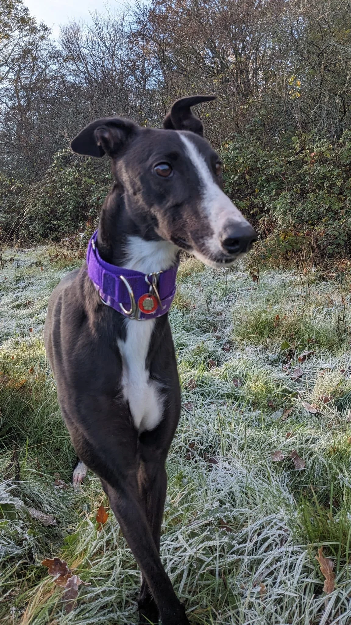 WhatsApp Image 2026-01-11 at 8.38.17 AM.jpeg