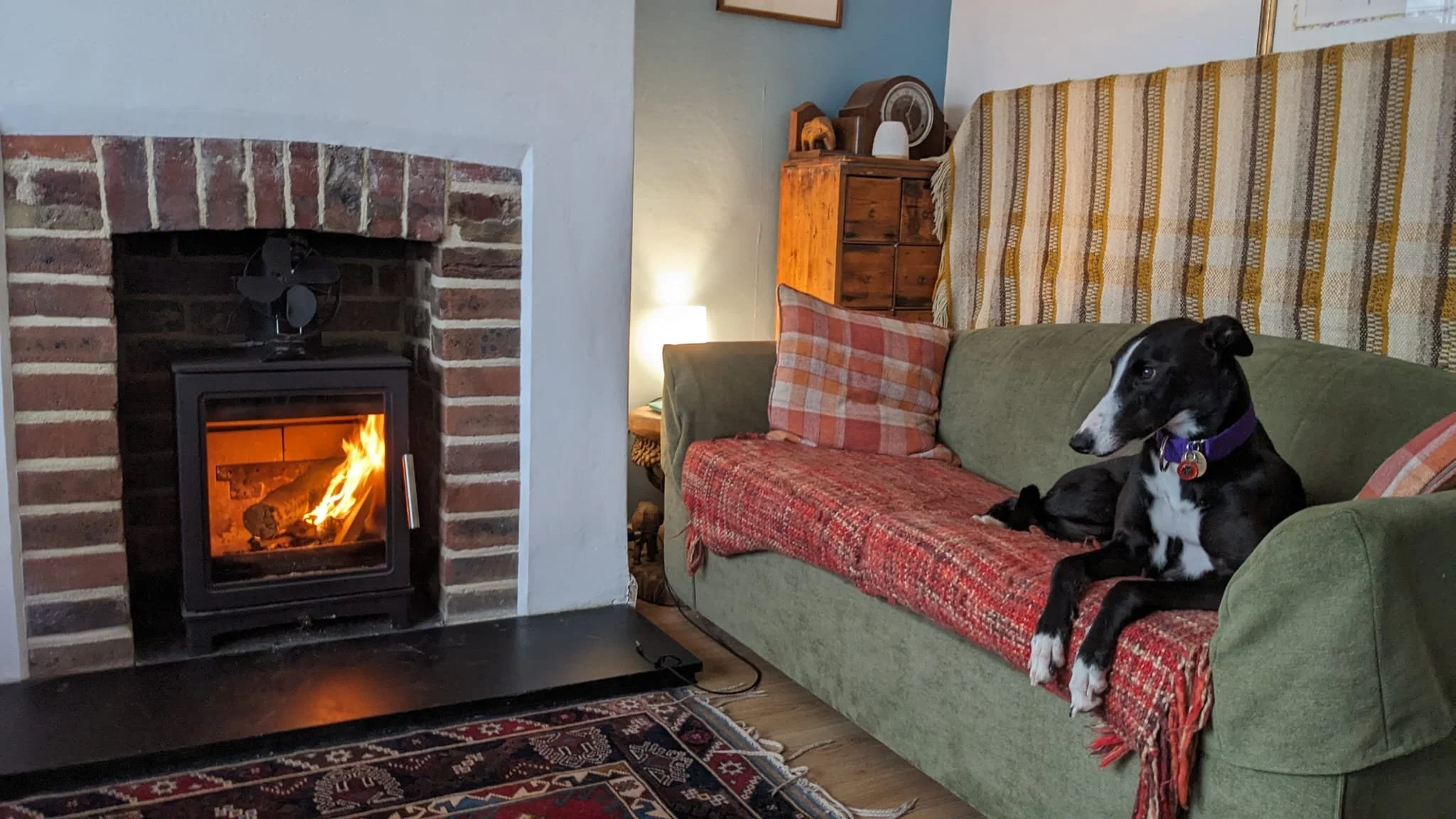 WhatsApp Image 2026-01-11 at 8.38.16 AM.jpeg