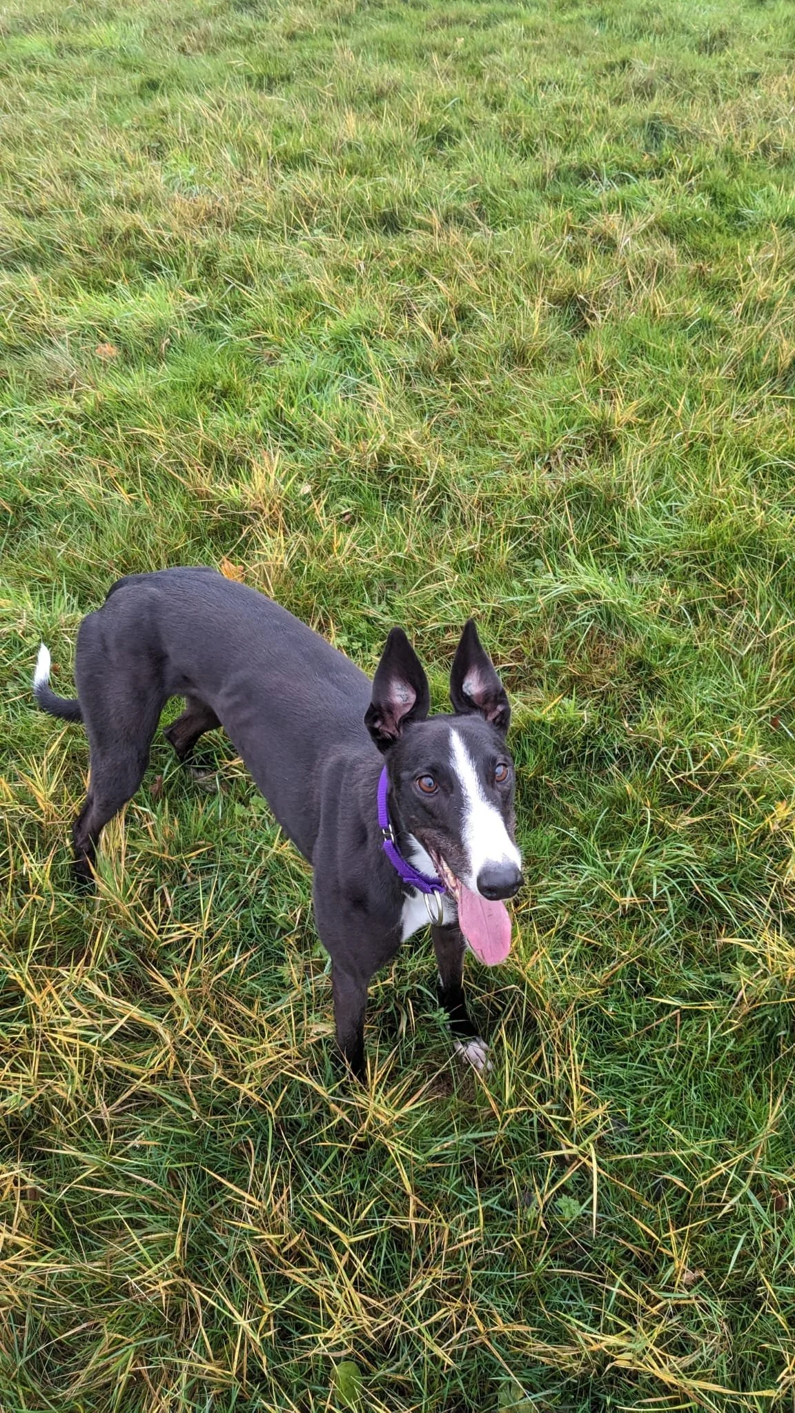 WhatsApp Image 2026-01-11 at 8.38.16 AM (1).jpeg