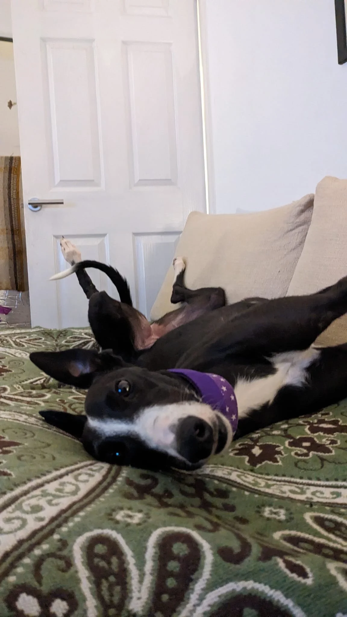 WhatsApp Image 2026-01-11 at 8.38.15 AM (2).jpeg