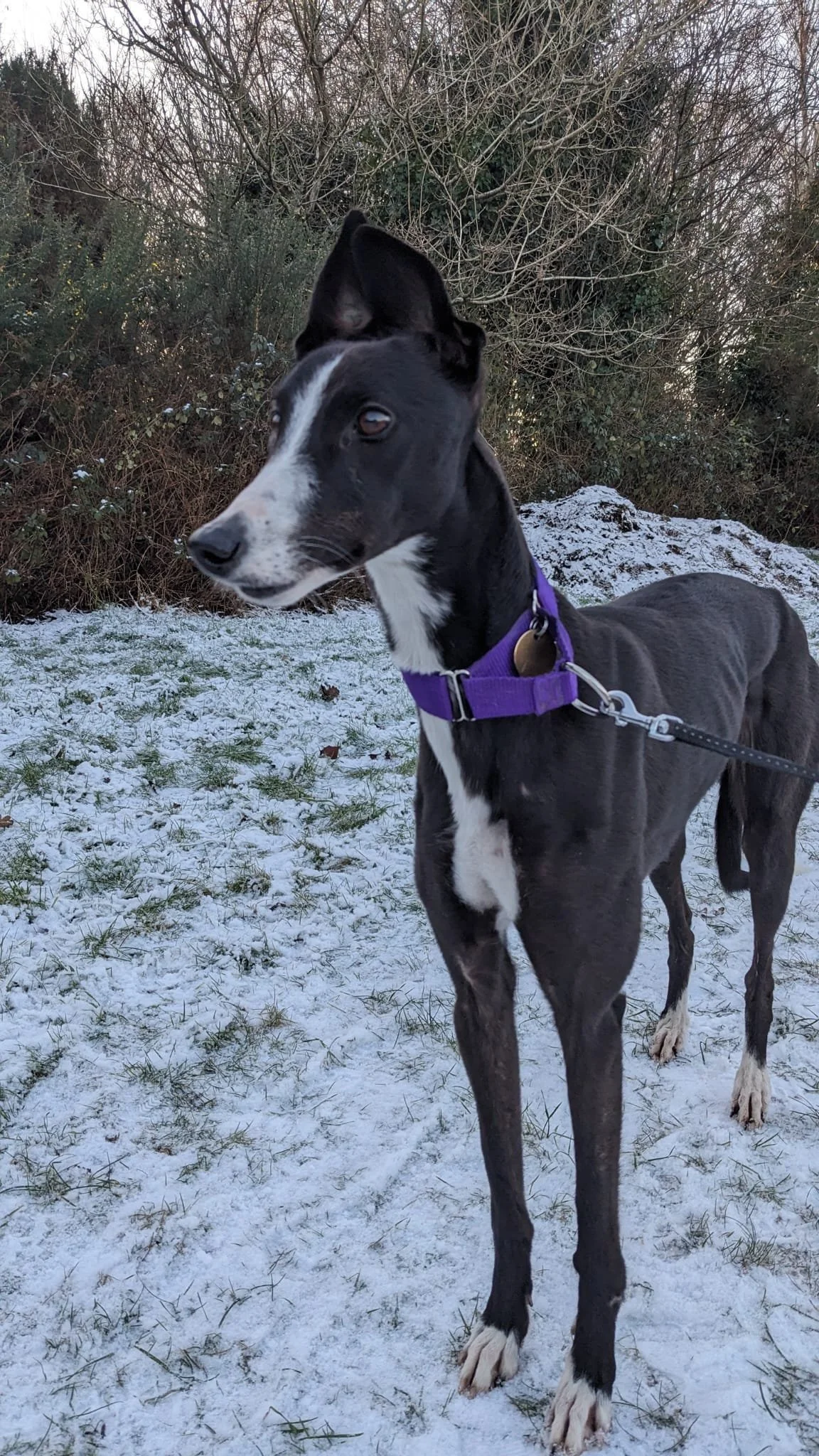 WhatsApp Image 2026-01-11 at 8.38.15 AM (1).jpeg