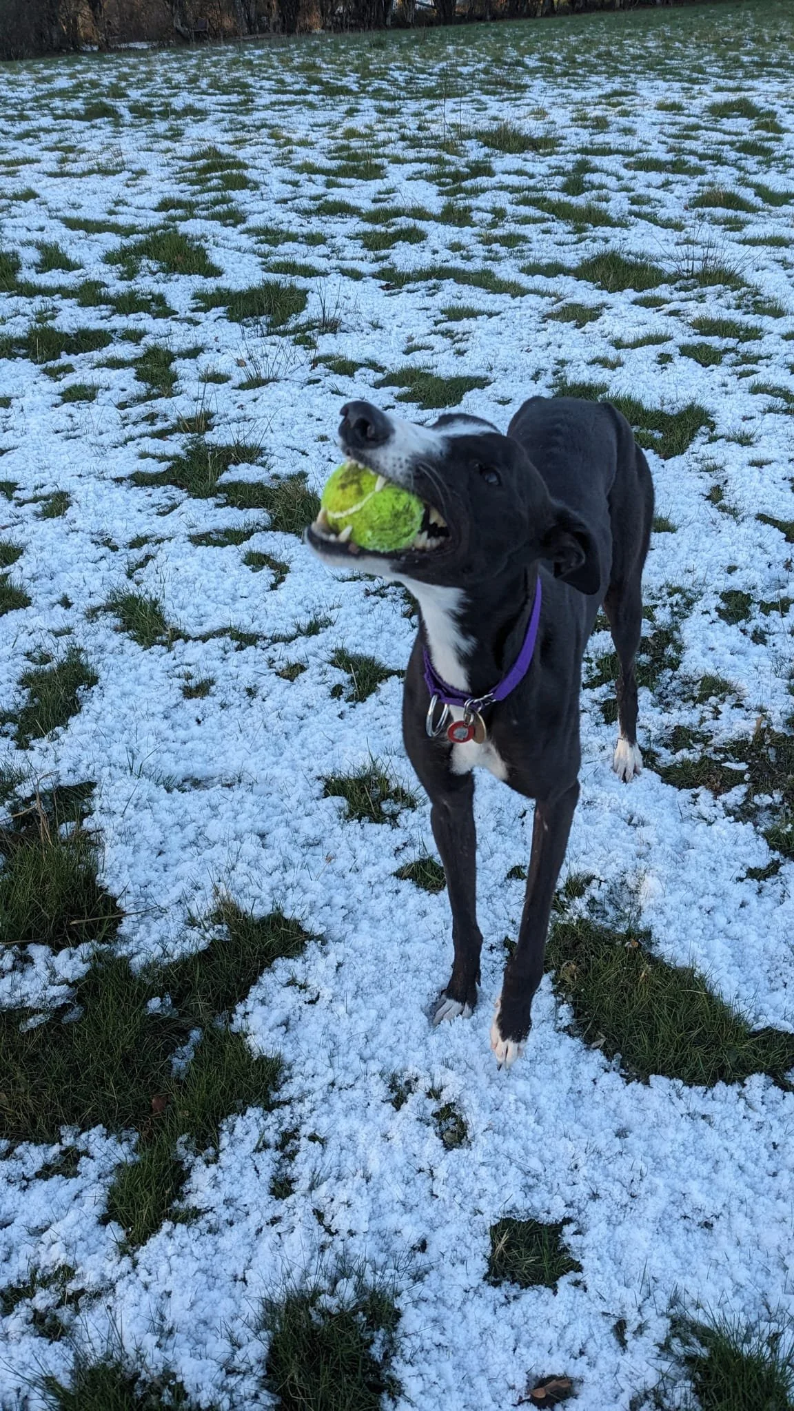 WhatsApp Image 2026-01-11 at 8.38.18 AM (1).jpeg