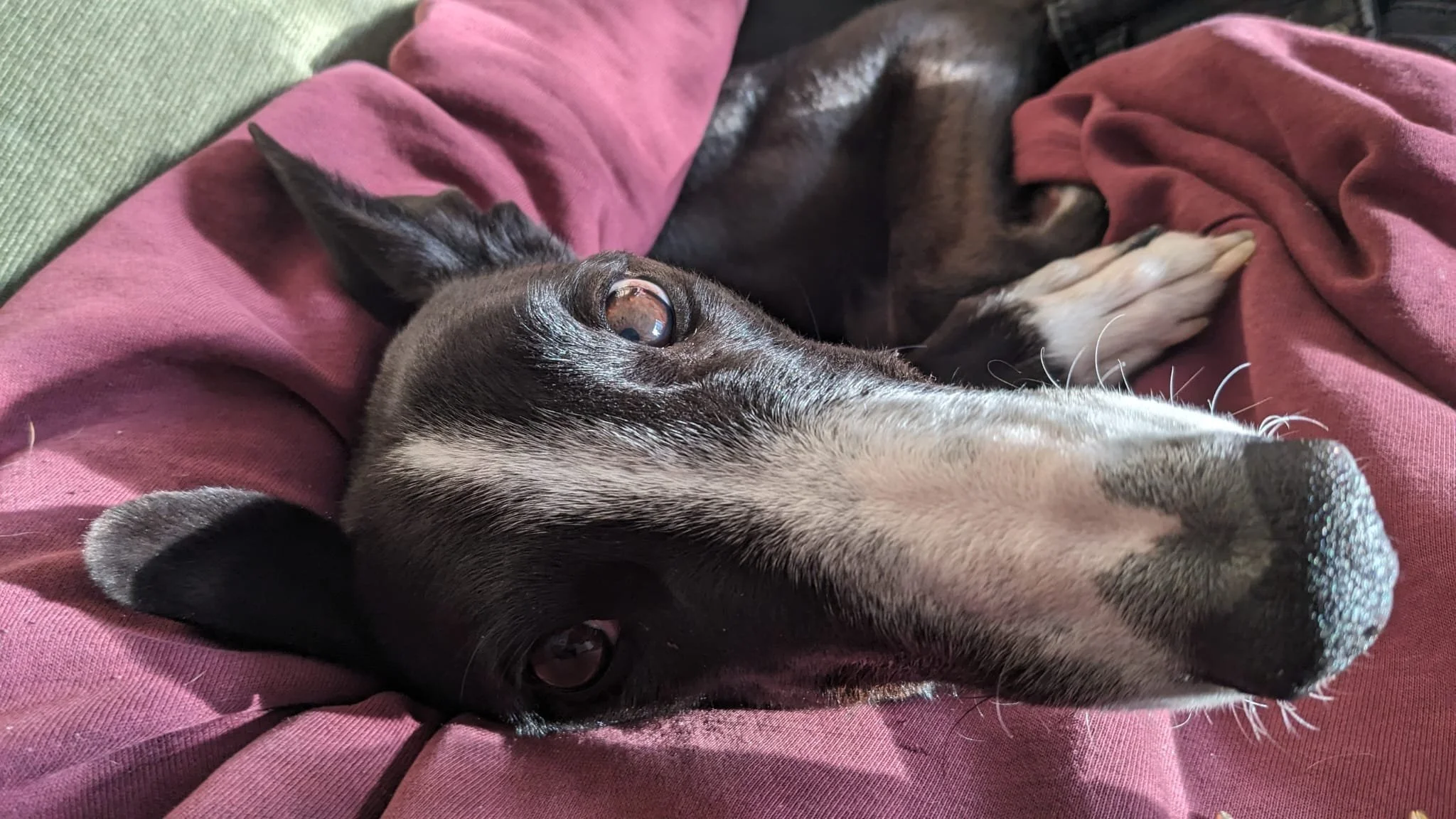 WhatsApp Image 2026-01-11 at 8.38.43 AM (2).jpeg