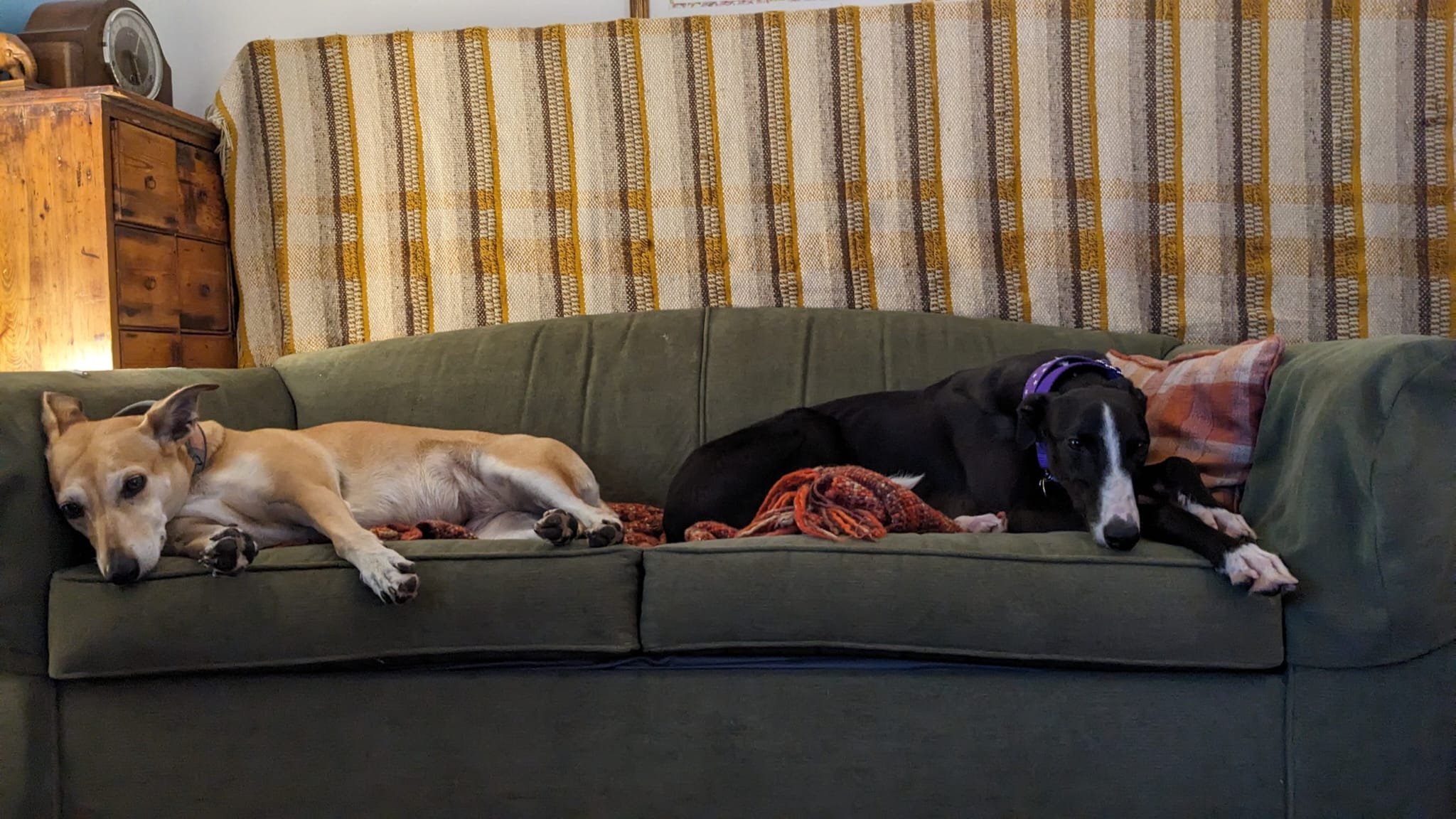 WhatsApp Image 2026-01-11 at 8.38.44 AM (1).jpeg