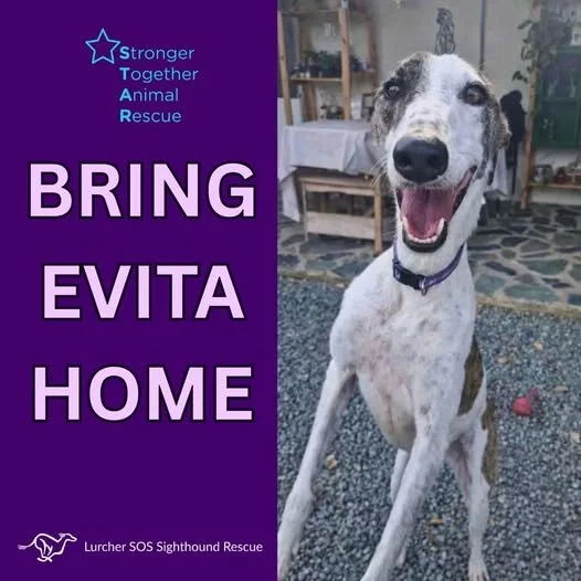 Raising funds to bring Evita to the UK safely