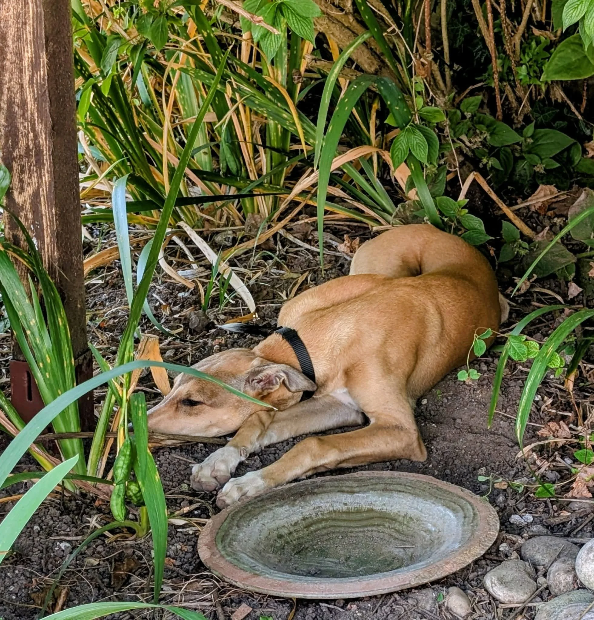 Zembra 3.jpg