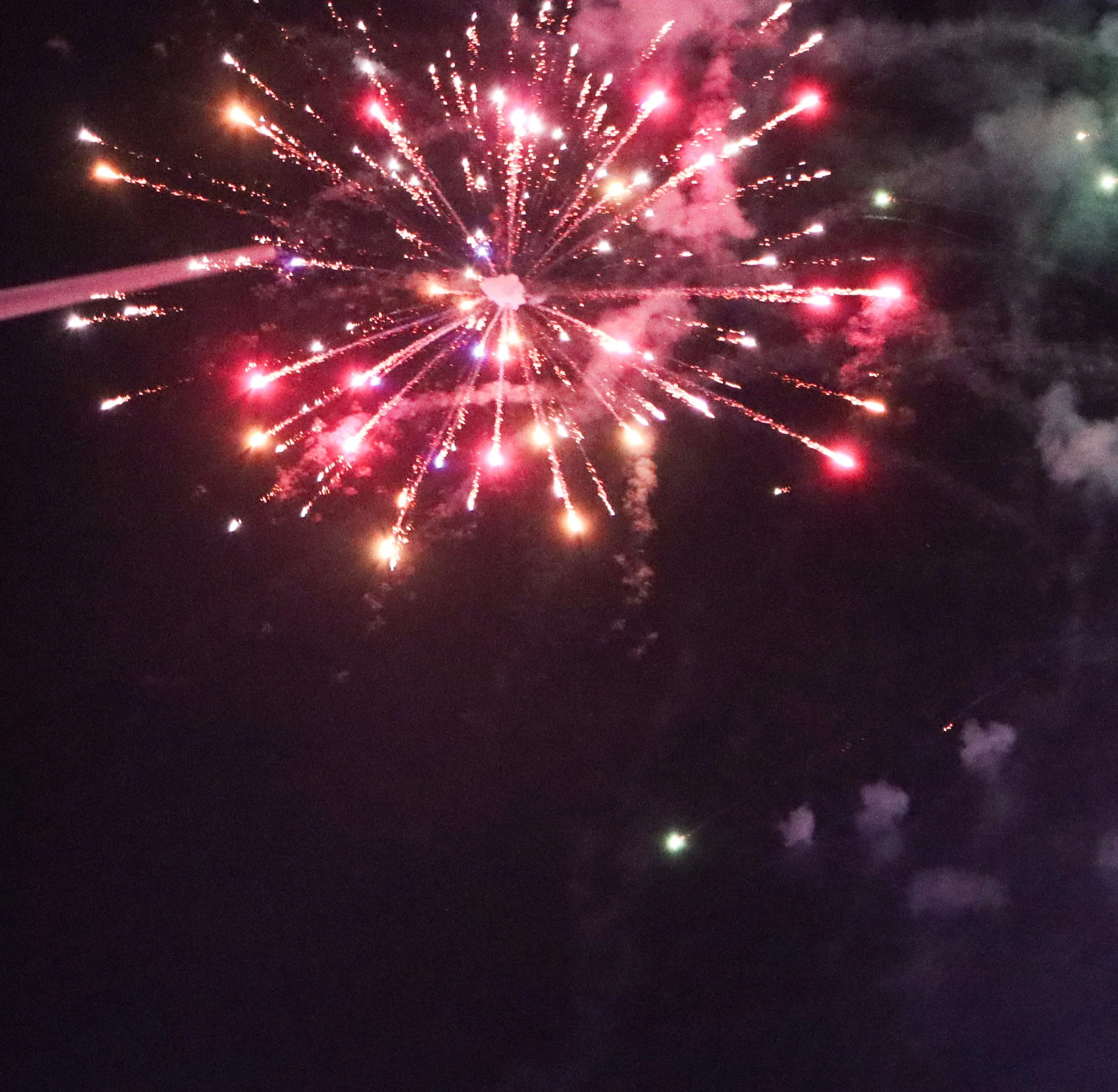 IMG_8013.jpeg