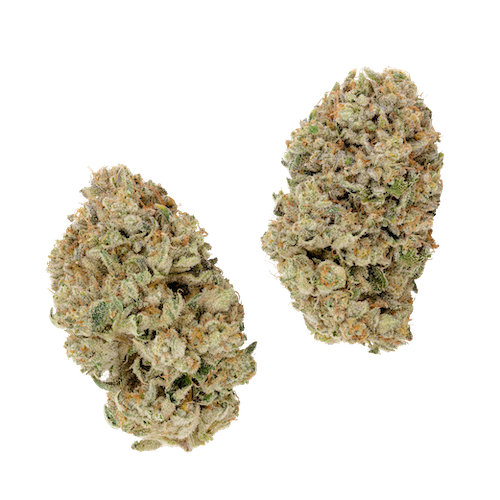 KAI Cultivation Chemdozer Hybrid Cannabis Strain Bud