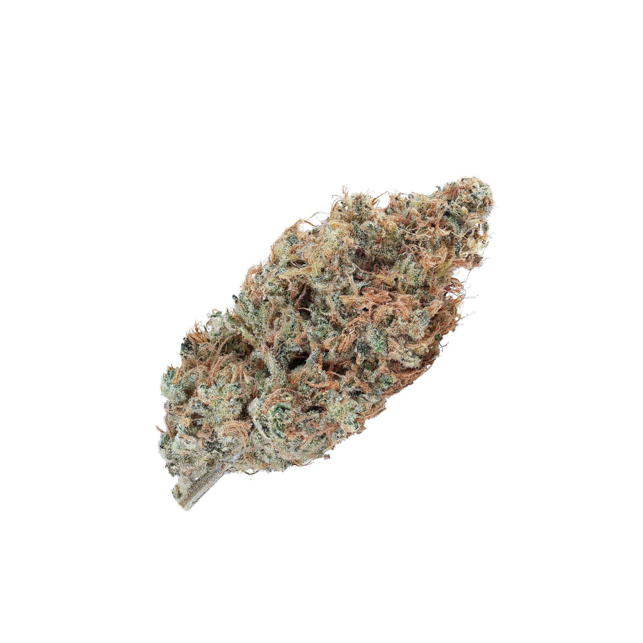 KAI Cultivation Bubble Lime Sativa Bud Flower