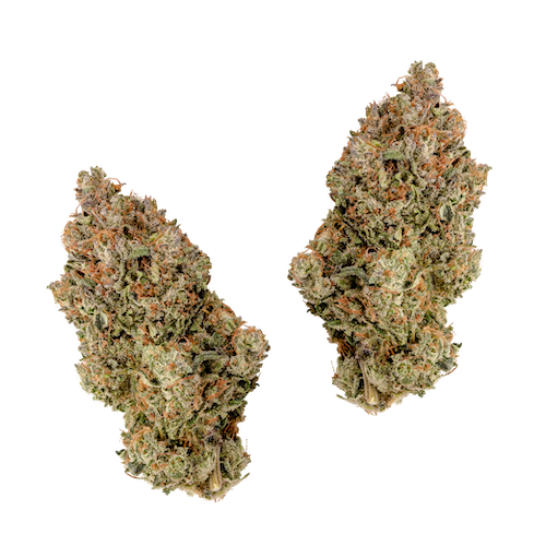 KAI Cultivation Citrix Sativa Cannabis Bud