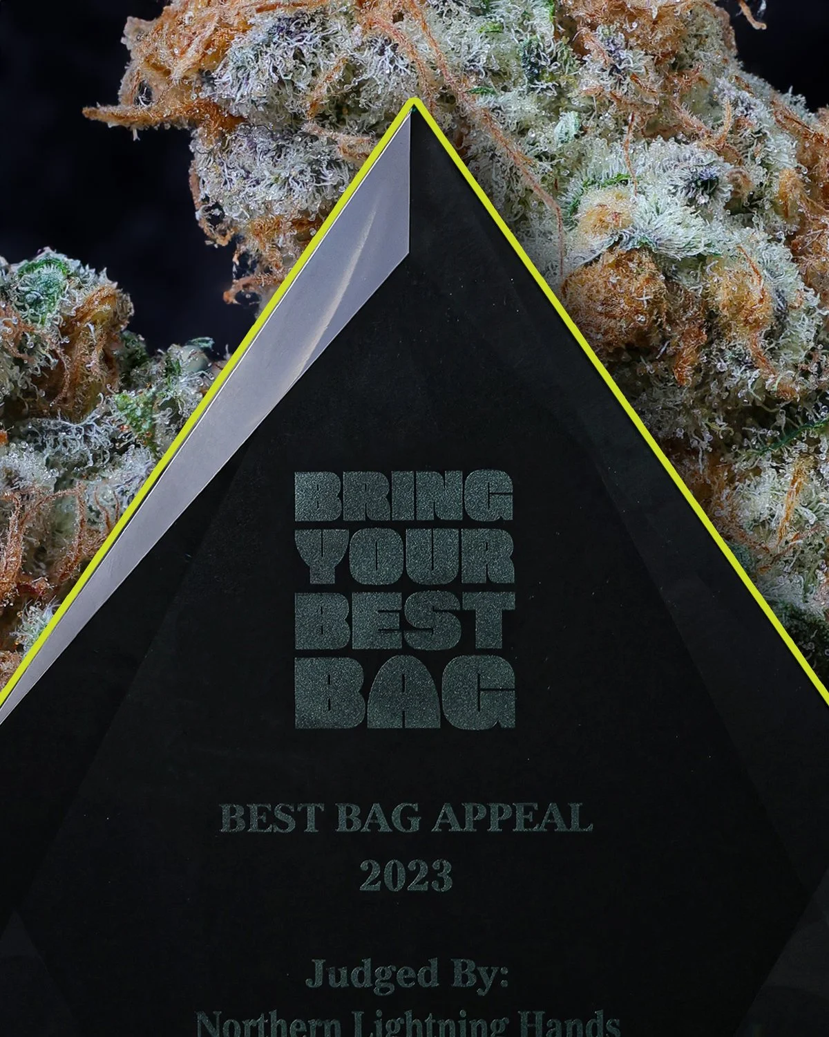KAI Cultivation Black Cherry Punch Award Winning Cannabis Best Bag Appeal