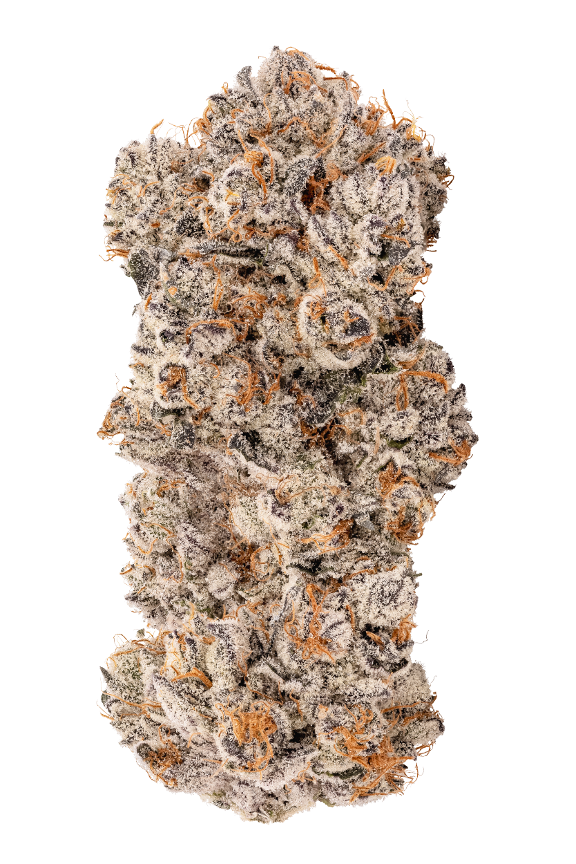 KAI Cultivation Flight Plan Hybrid Strain Cannabis Bud