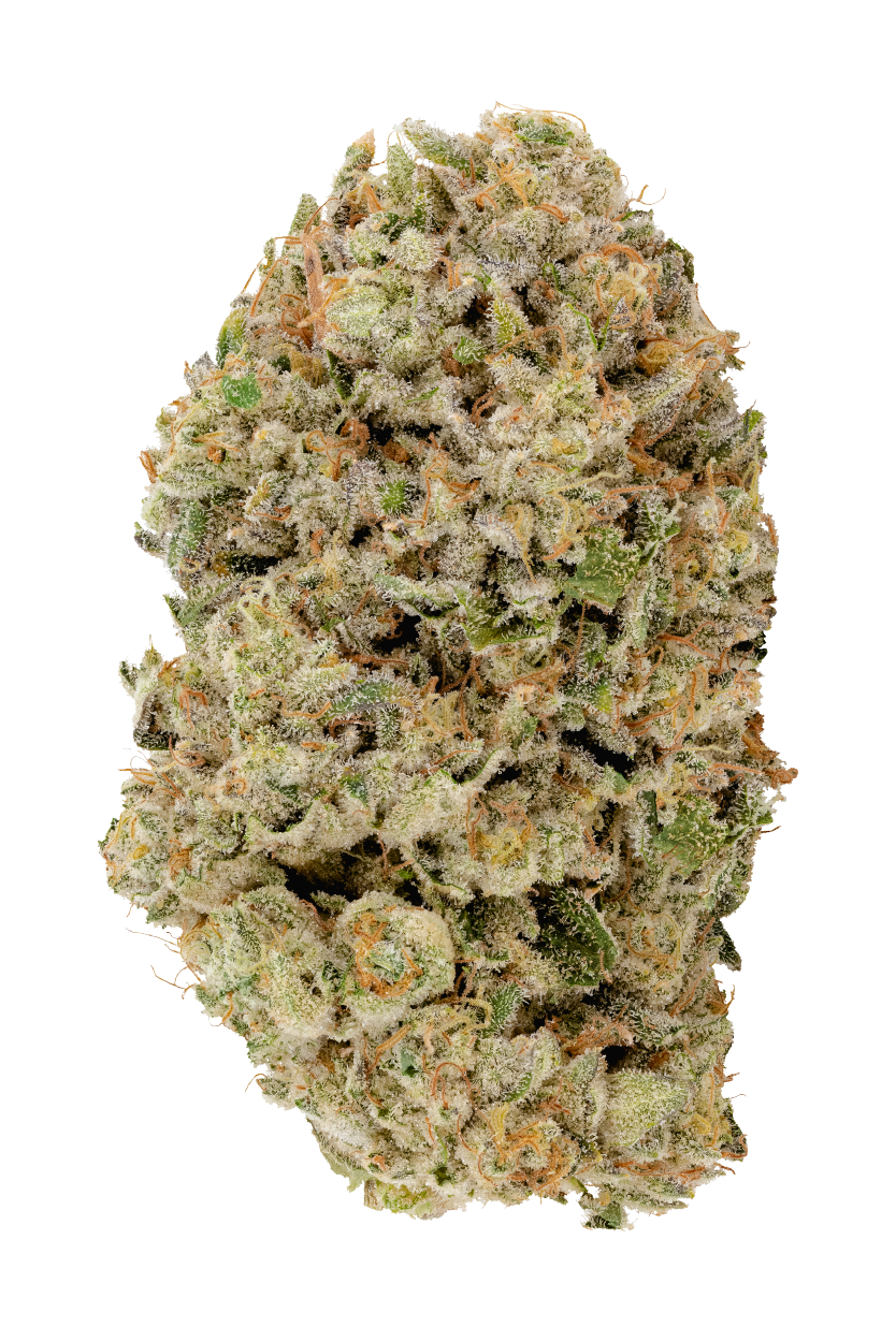 KAI Cultivation Chemdozer Hybrid Cannabis Bud