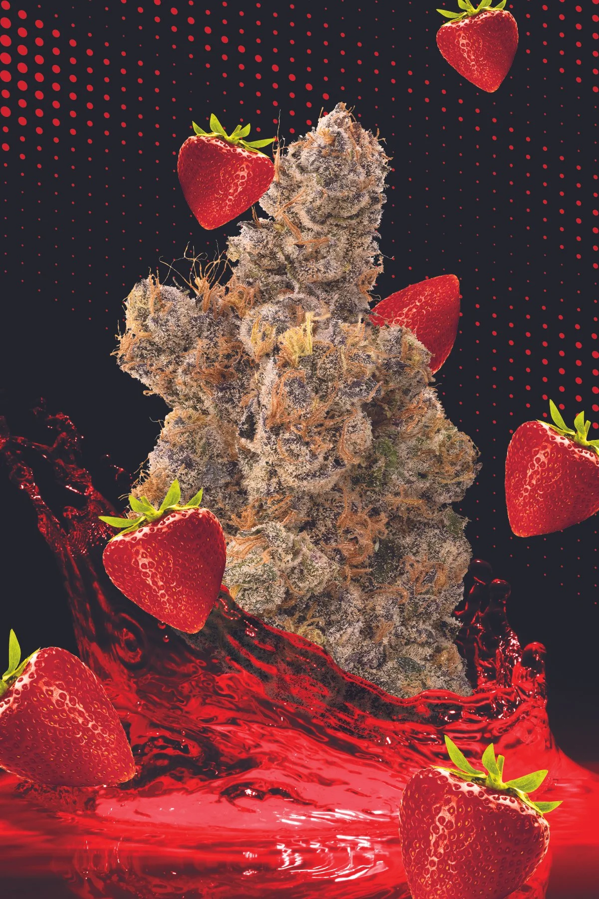 KAI Cultivation Strawberry Gary Bud Packaging Graphic