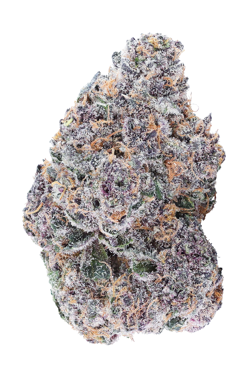 KAI Cultivation Zour Guava Cannabis Bud