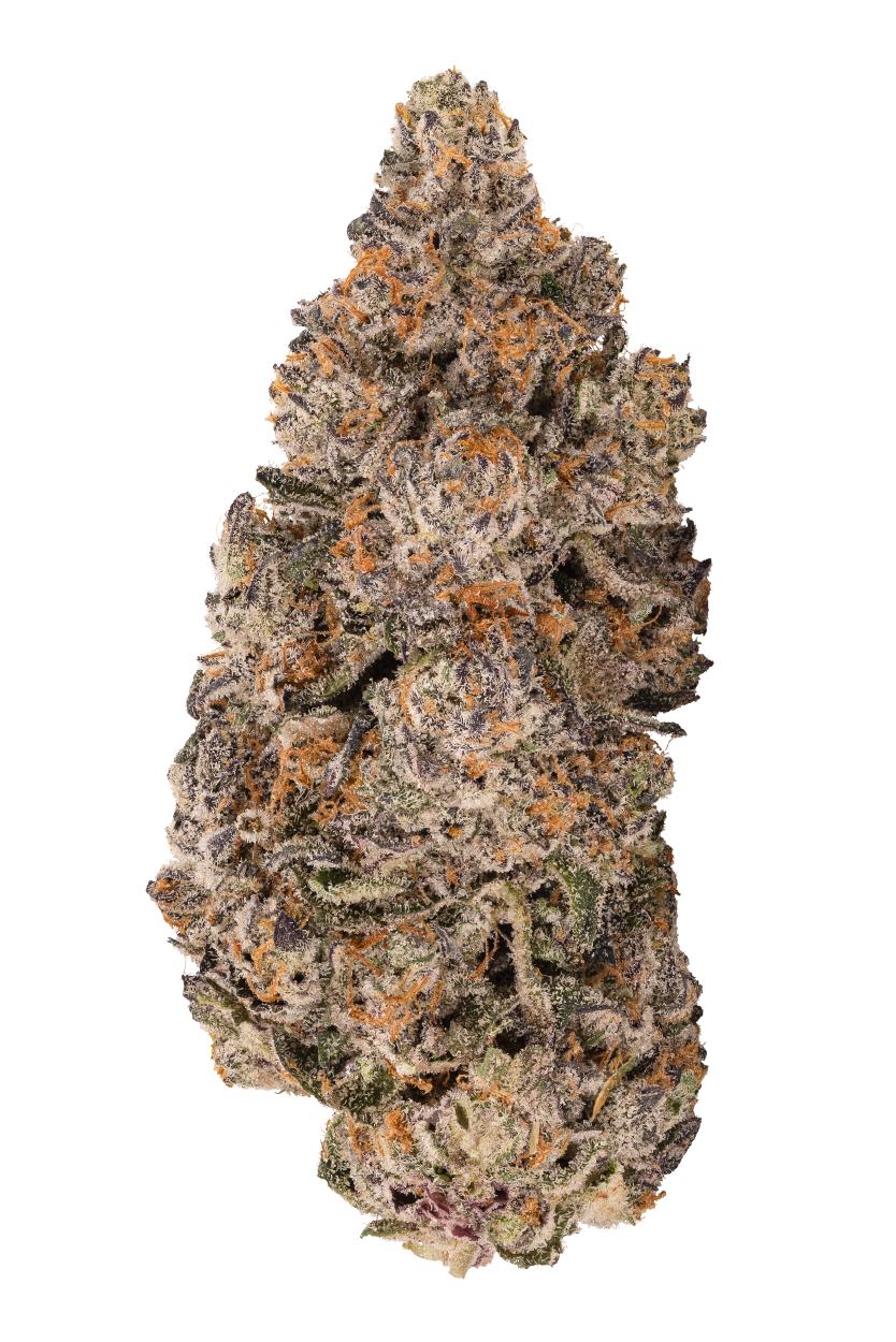 KAI Cultivation White Lightning Hybrid Cannabis Strain Bud