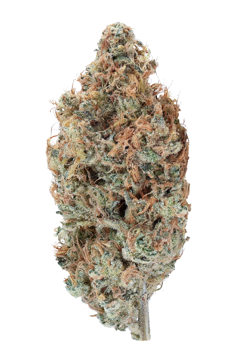KAI Cultivation Bubble Lime Sativa Bud