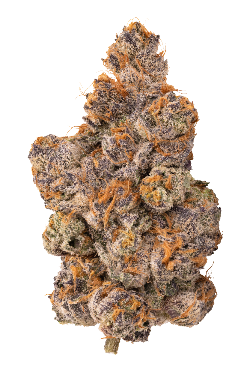 KAI Cultivation Gastro Pop Cannabis Bud