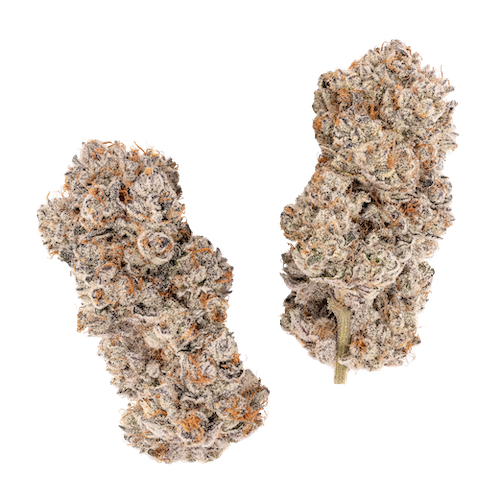 KAI Cultivation Flight Plan Hybrid Cannabis Bud