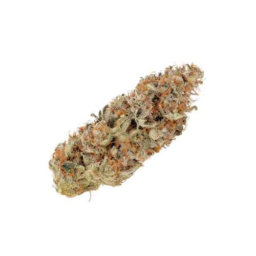 KAI Cultivation Lost Cause Sativa Cannabis Bud