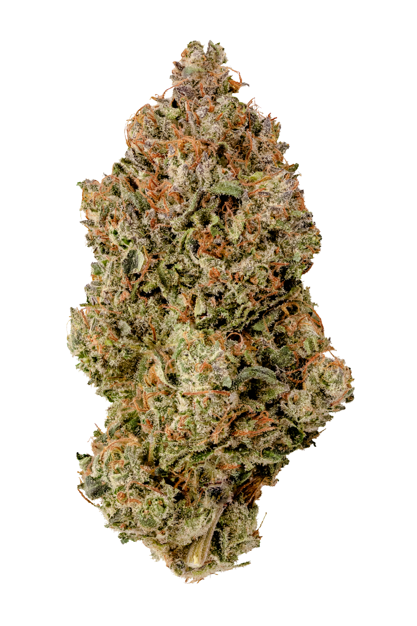 KAI Cannabis Citrix Flower Singular Bud