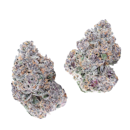 KAI Cultivation Zour Guava Hybrid Cannabis Flower Bud
