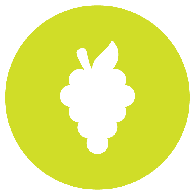 KAI Cultivation Grape Flavor Icon