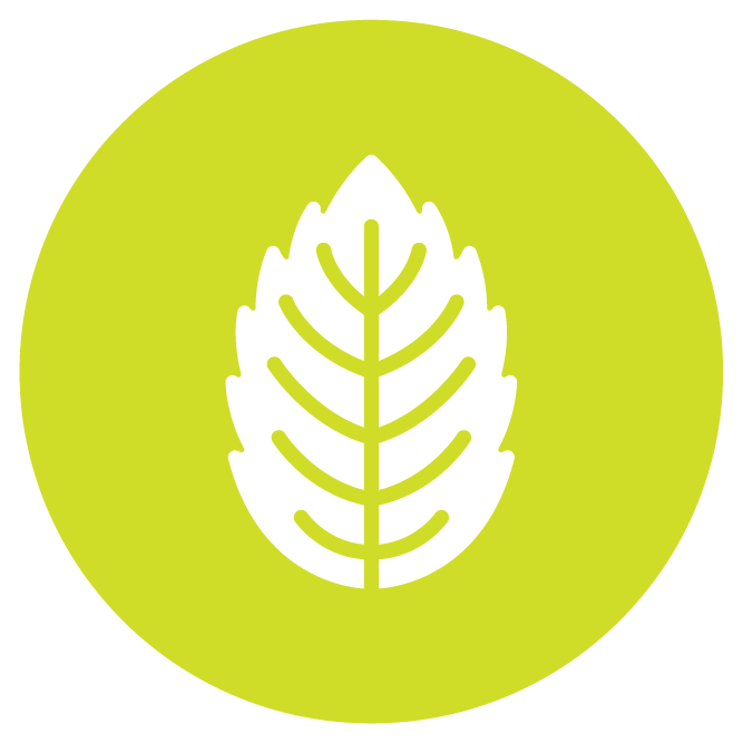 KAI Cultivation Mint Flavor Icon