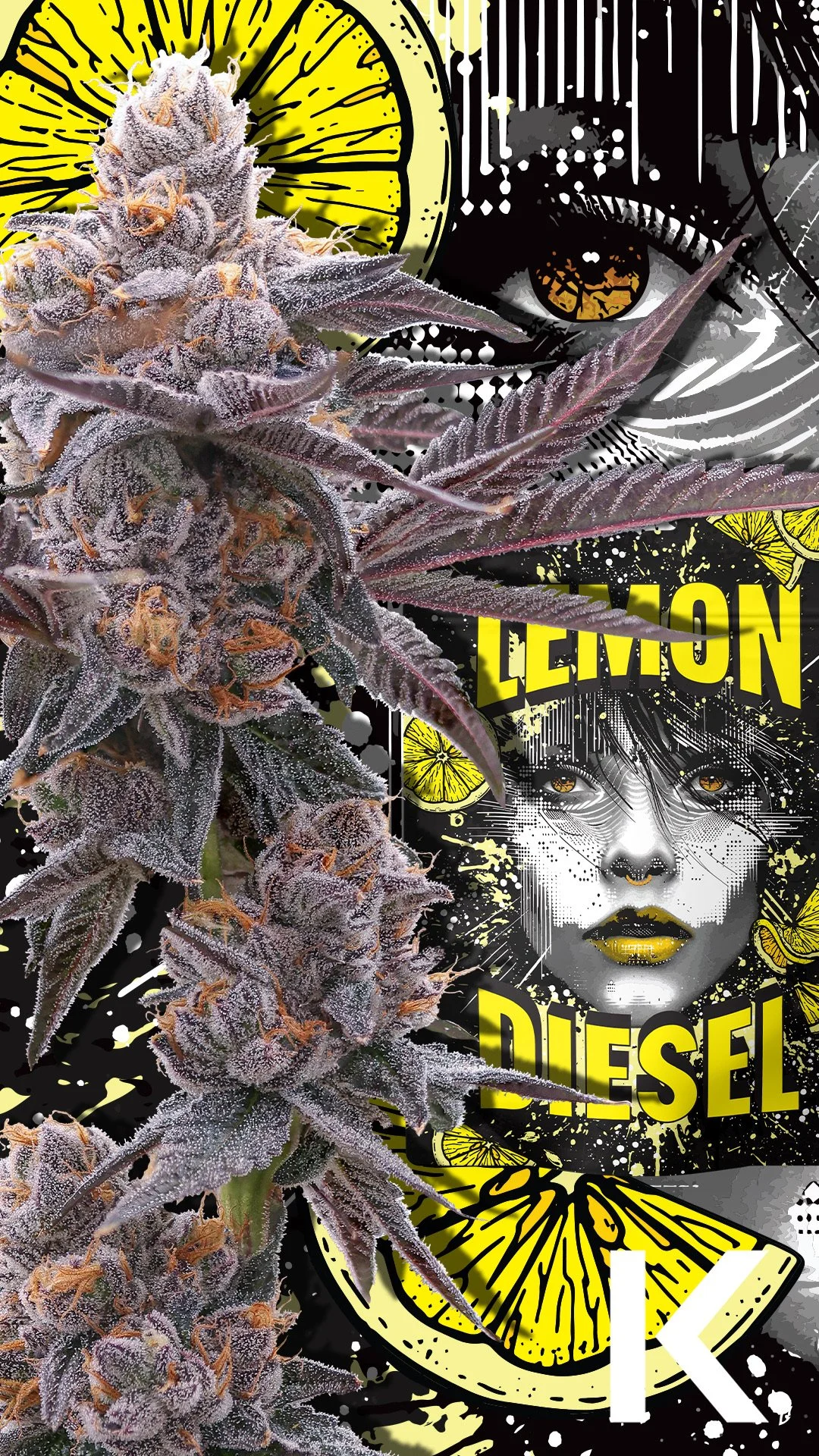 KAI Cultivation Lemon Diesel Plant and Packaging Social Post