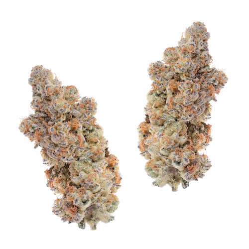 KAI Cultivation Lemon Diesel Sativa Cannabis Buds