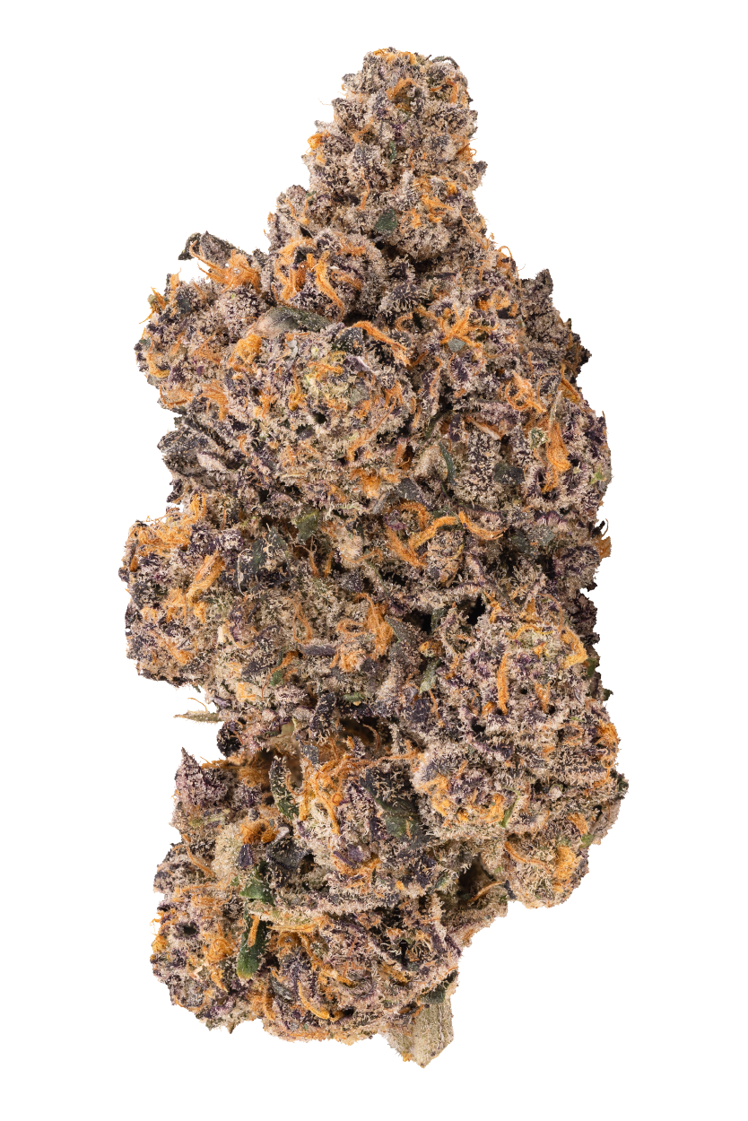 KAI Cultivation Gary Payton x Jealousy Cannabis Bud