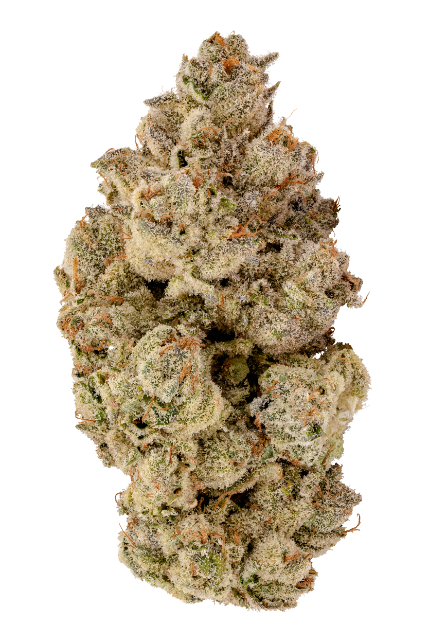 KAI Cannabis Solar Flare Flower Singular Bud